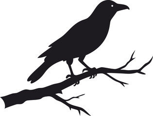 raven bird silhouette on a dead tree branch