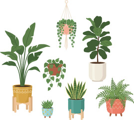 Potted flowers and plants with greenery and decorative leaves