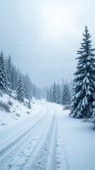 Snow-covered road surrounded by tall evergreen trees in a winter landscape. The scene is tranquil and serene, with a cloudy sky overhead.