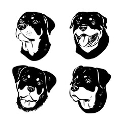Rottweiler, dog, vector sketch illustration