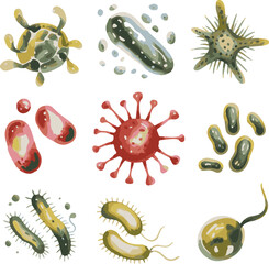 bacteria and virus