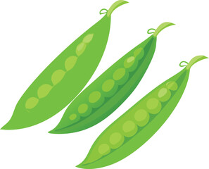 snow peas vector art