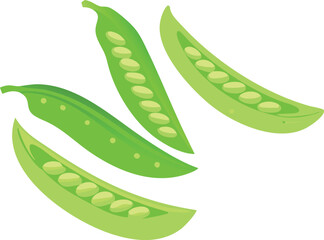 snow peas vector art