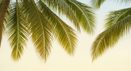 Naklejka premium Lush Green Palm Leaves Against a Soft Colorful Sky at Sunset Dual Composition