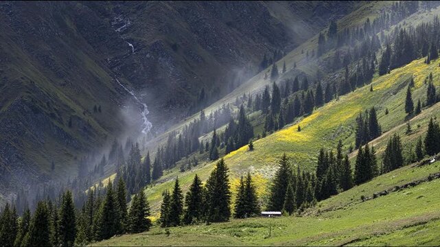 An evocative mountain scene showcases verdant slopes dotted with evergreen trees, sunlight and wisps of fog