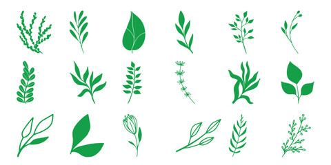 Collection of Green Botanical Illustrations on White Background