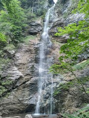 waterfall in the Austrian mountains within a forest
