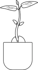 Naklejka premium Coloring page with sprout of avocado plant (Persea americana) 