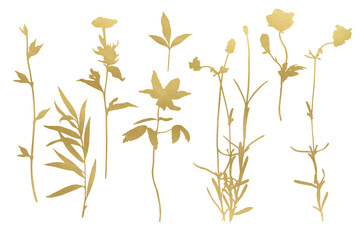 Modern herbs gold silhouettes on white background