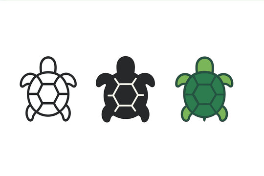 Minimalist Turtle Icons. Minimalist turtle icon: three identical turtles with shell pattern in a row, first in line style with