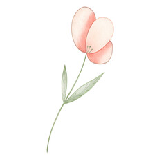 Watercolor pink flower clipart, delicate floral illustration © ThemeRage