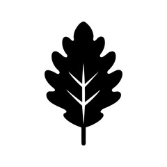 Minimal Oak Leaf Natural Botanical Forest Element Icon Line Art Vector illustration