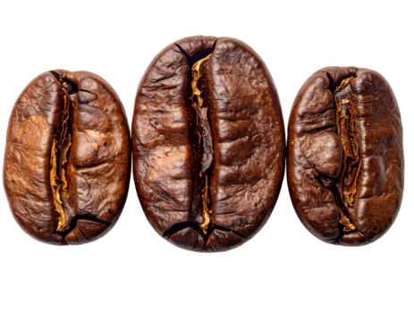 Roasted beans with deep grooved splits