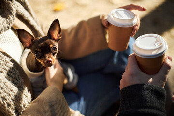 Caucasian young adult woman holding small brown dog while sitting outdoors, boyfriend handing takeaway coffee cup, both engaging in casual conversation