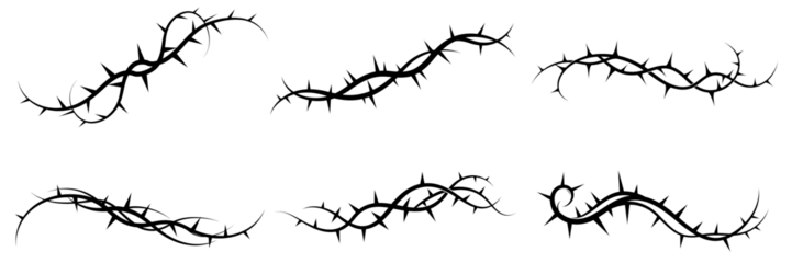 silhouette of grass and plants in nature vector illustration