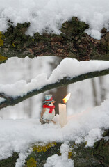 winter landscape with candle and cute Christmas toy bird on snowy tree close up, nature background. fairy tale, mystery atmosphere. Christmas, New Year, Yule Holidays. witchcraft, magic ritual
