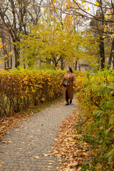 Woman in brown coat walking along an alley in an autumn park	