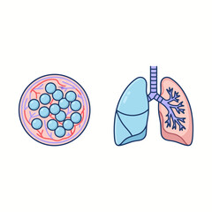Detailed Illustration of Lung Anatomy for Educational Purposes