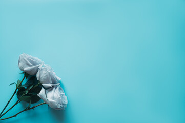 Букет цветов на голубом фоне