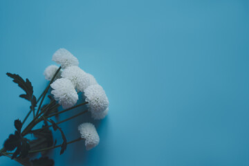 Букет цветов на голубом фоне