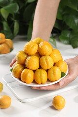 Freshly Picked Ripe Apricots from Dunhuang China Held on White Plate