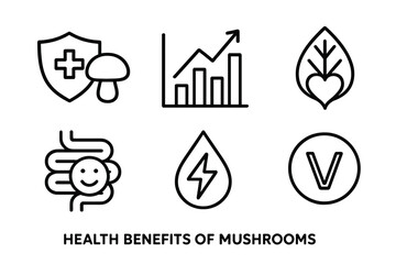 Mushroom Health Icons. Line style icons of Health Benefits of Mushrooms: immune boost icon, anti-inflammatory chart, adaptogen