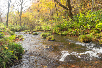 秋と渓流の流れ