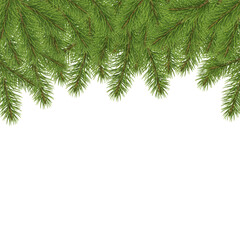 Evergreen branches framing the top, elegant holiday design with an isolated transparent ambience