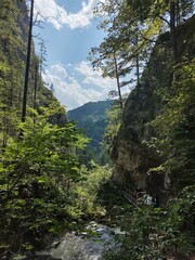 mountain river in the Austrian mountains