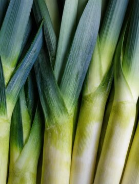 Fresh leeks stacked on a wooden surface in a natural light setting during daytime