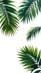 Naklejka premium Palm leaves framing black. Lush, green, detailed foliage