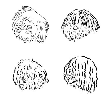  puli dog logo design