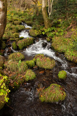 秋の渓流の流れ