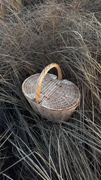A wicker basket with a lid in tall, dry grass in autumn. A gentle breeze. Picnic basket, mushroom basket. Handmade, minimalist style, workshop