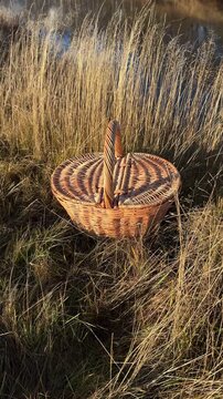 A wicker basket with a lid in tall dry grass in the sunset light of an autumn setting. Picnic basket, mushroom basket. Handmade, minimalist style, workshop