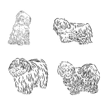  puli dog logo design