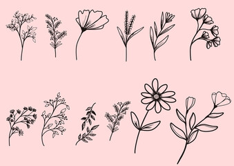 Delicate hand drawn botanical illustrations of flowers and leaves perfect for elegant designs and charming branding projects