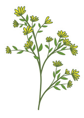 Delicate yellow wildflowers bloom on slender green stems, bringing a touch of natural charm to any design project.