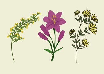 Vibrant botanical illustrations featuring delicate purple lilies and cheerful yellow wildflowers create a fresh, natural aesthetic perfect for spring and summer designs.