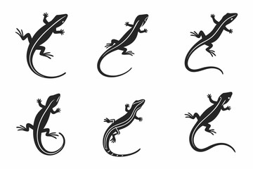 Naklejka premium Eight minimalist skink icons in black and color