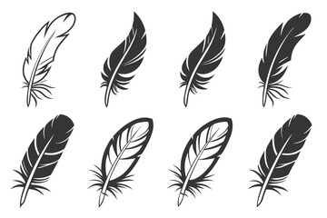 Realistic eagle feather icon set with bold colors