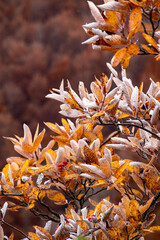 Monte Giovo, provincia di Modena, Emilia Romagna