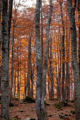 Monte Giovo, provincia di Modena, Emilia Romagna