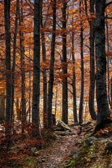 Monte Giovo, provincia di Modena, Emilia Romagna