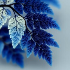 Fractal Leaf Arrangement with Blue and White Color Gradient