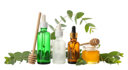 Natural skincare ingredients and honey isolated on transparent background
