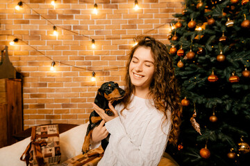one beautiful curly-haired girl sits with a puppy near a Christmas tree, a New Year's photo session with a pet. girl holding a dog paws in her arms .