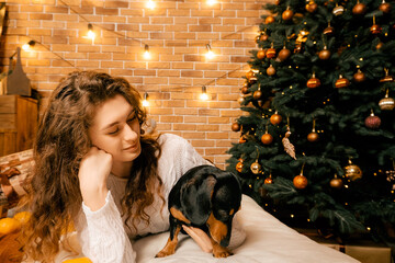 one beautiful curly-haired girl with a puppy near a Christmas tree, a New Year's photo session with a pet. girl holding a dog paws in her arms .