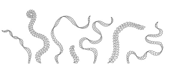 Elegant curvy Art nouveau style seaweed hand drawn monochrome vector illustration set