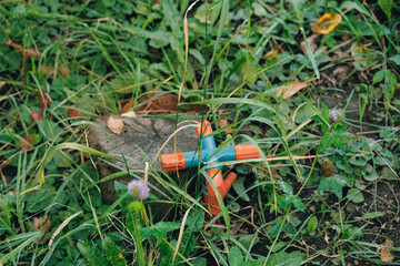 Garden sprinkler lying on the ground among green grass and plants in a backyard during summer